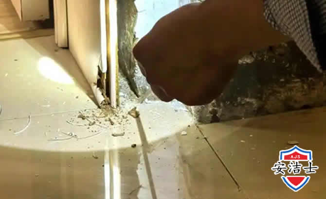 莲都区房屋建筑防治白蚁