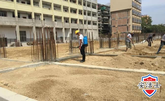 莲都区学校机关防治白蚁