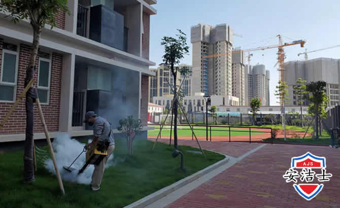 莲都区工厂工地除白蚁