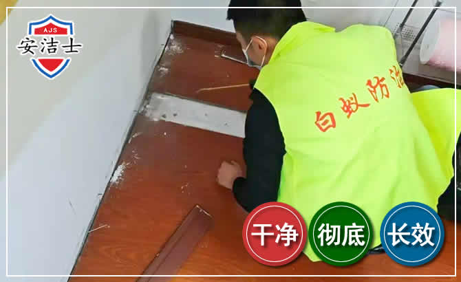 莲都区除四害现场