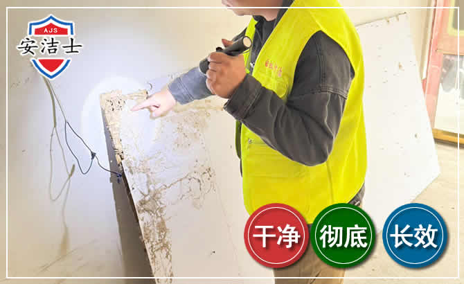 莲都区除白蚁现场