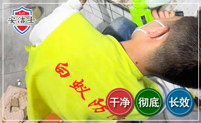 莲都区白蚁根治现场